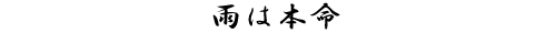 雨は本命